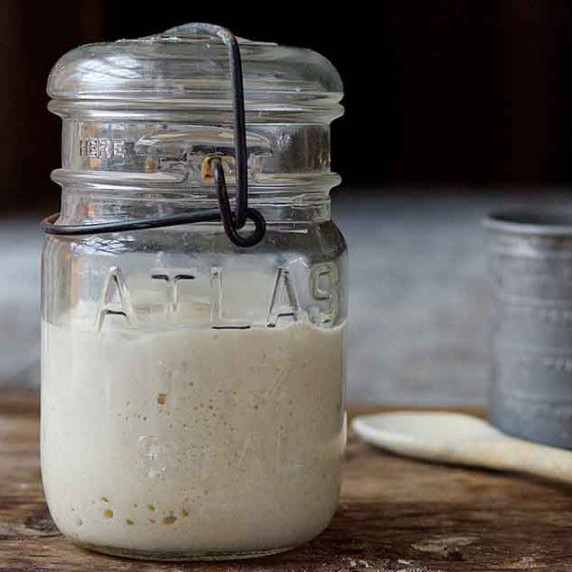 Sourdough Starter