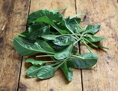 Sea Spinach recipes