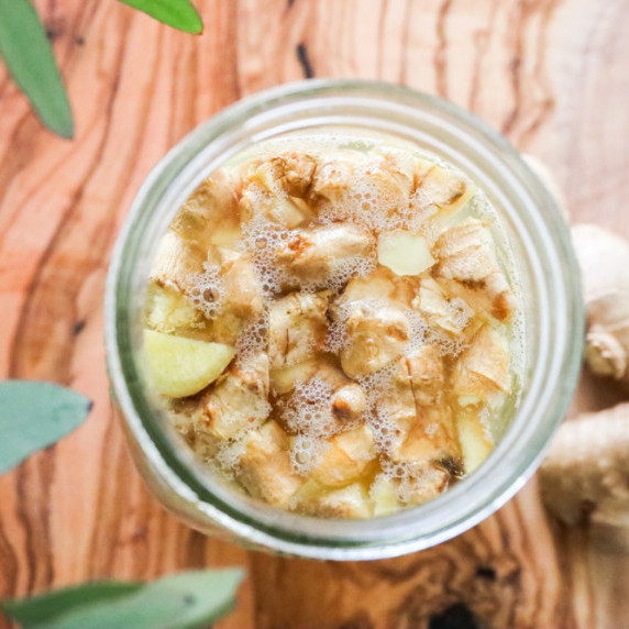 fermented ginger bug recipe for gut health and immunity.