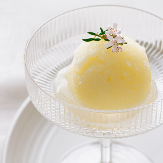 scoop of lemon sorbet 