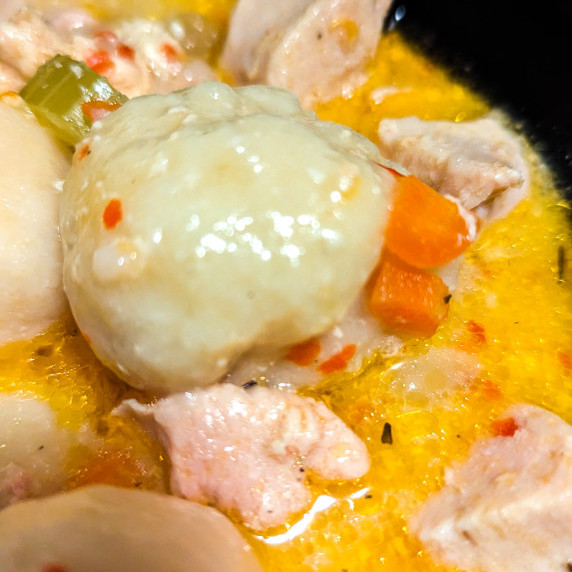 Chicken Dumpling Soup with carrots and celery 