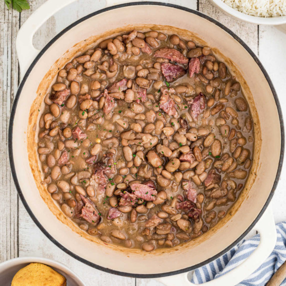 Overhead shot of a pot full of pinto beans.