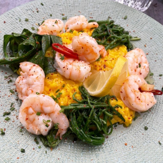 Saffron Shrimp Risotto with Samphire and Lamb´s Lettuce