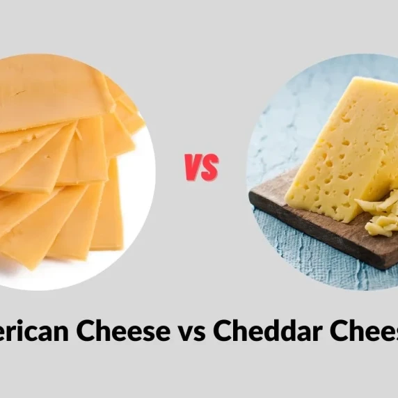 American cheese Vs Cheddar cheese